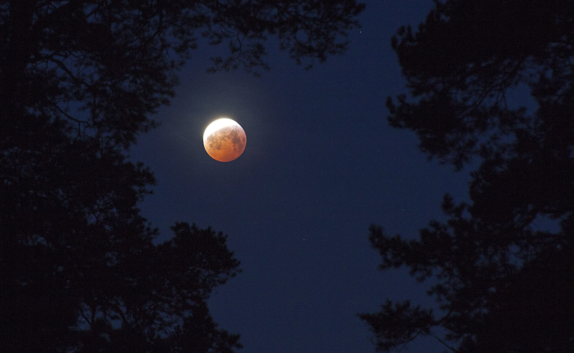 Miss the 2019 Blood Moon? Here's When the Next One | Space