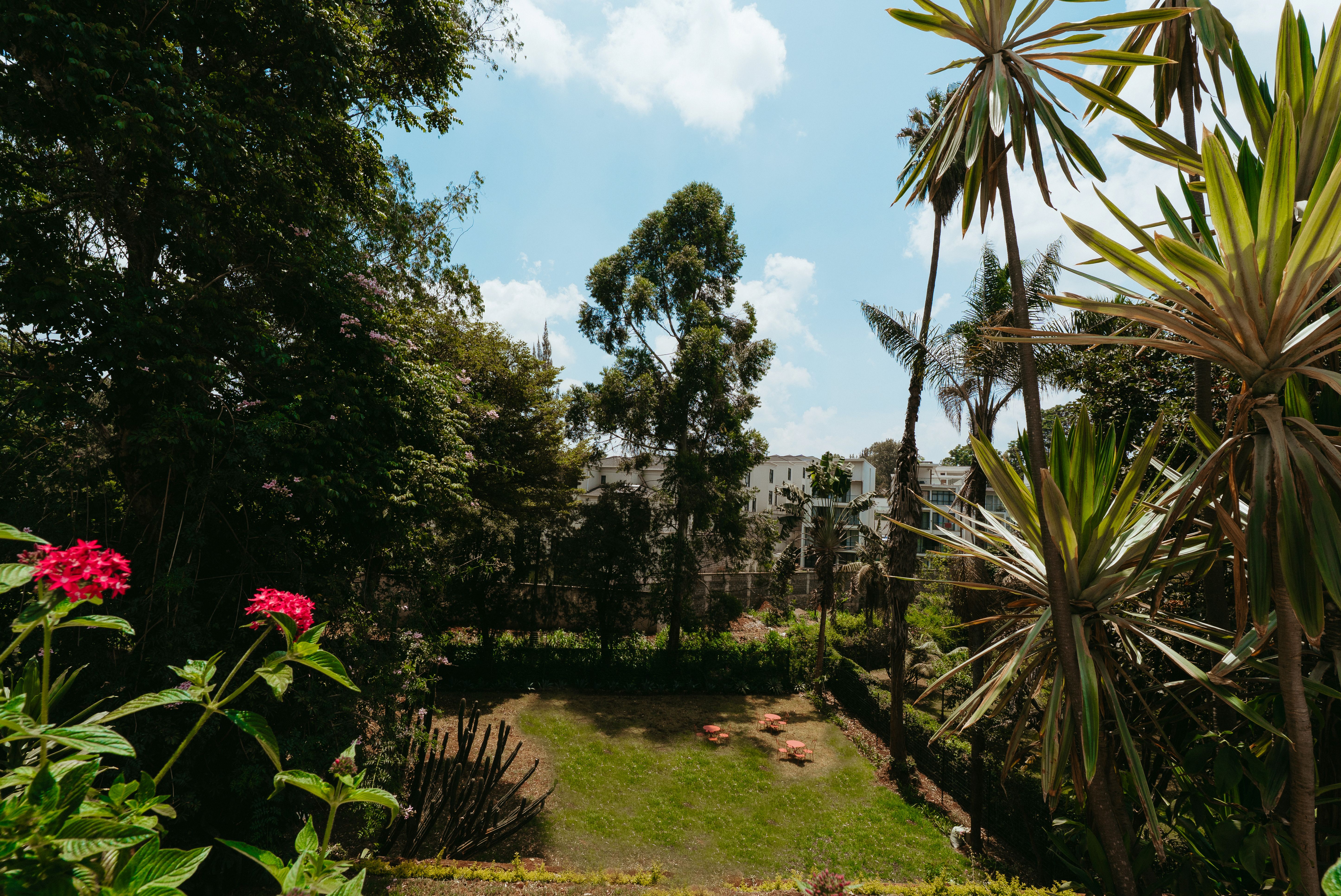 celine and lolo nairobi hotel review