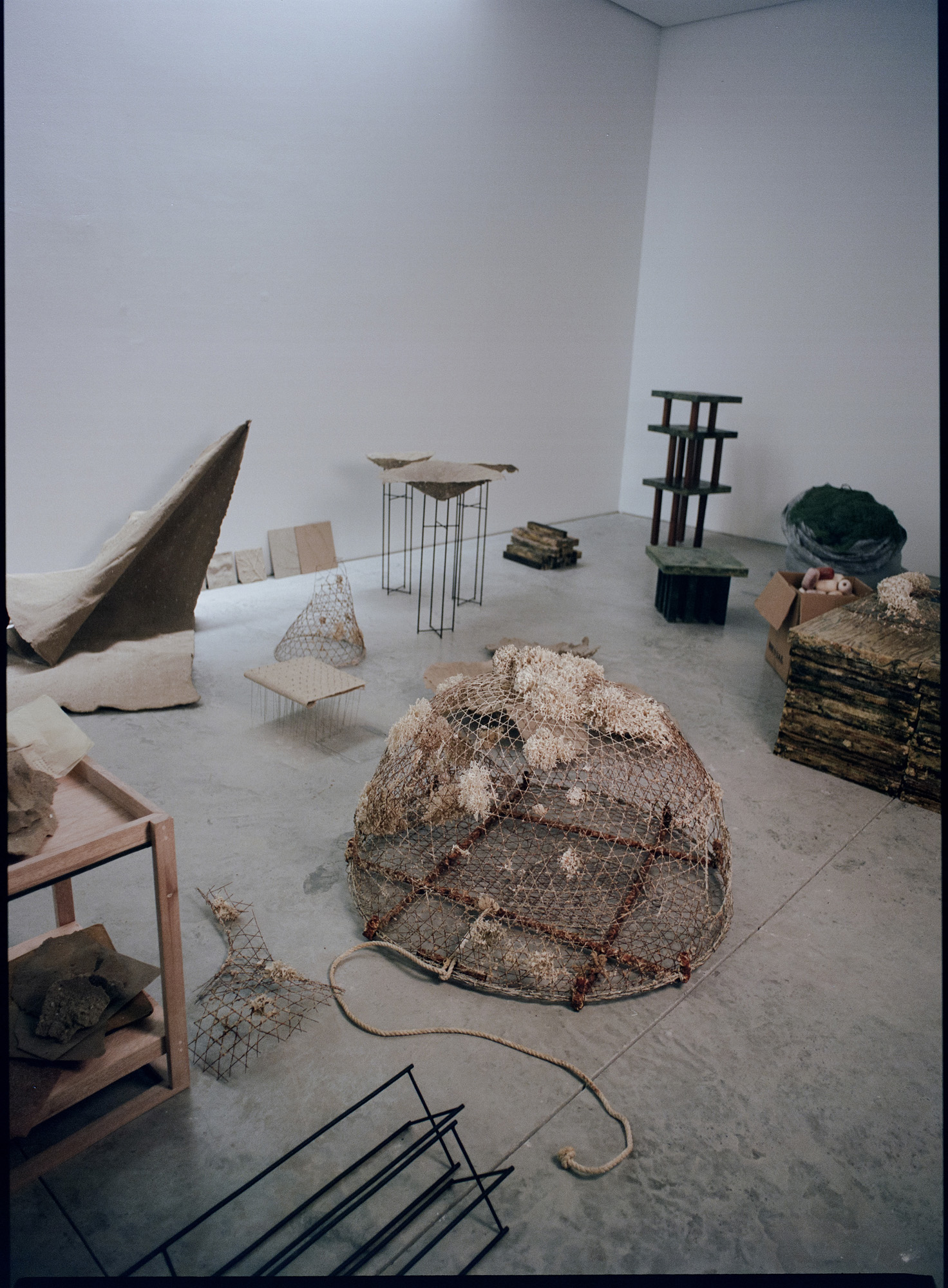 Talin Hazbar in her studio in Sharjah