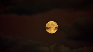 During the Hunter's Moon on Sunday the moon will take on a suitably seasonal orange hue.