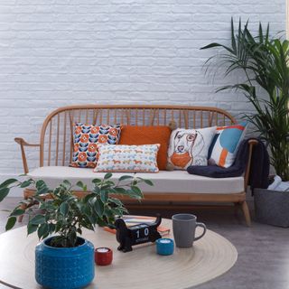 sofa with cushion potted plant and teacup