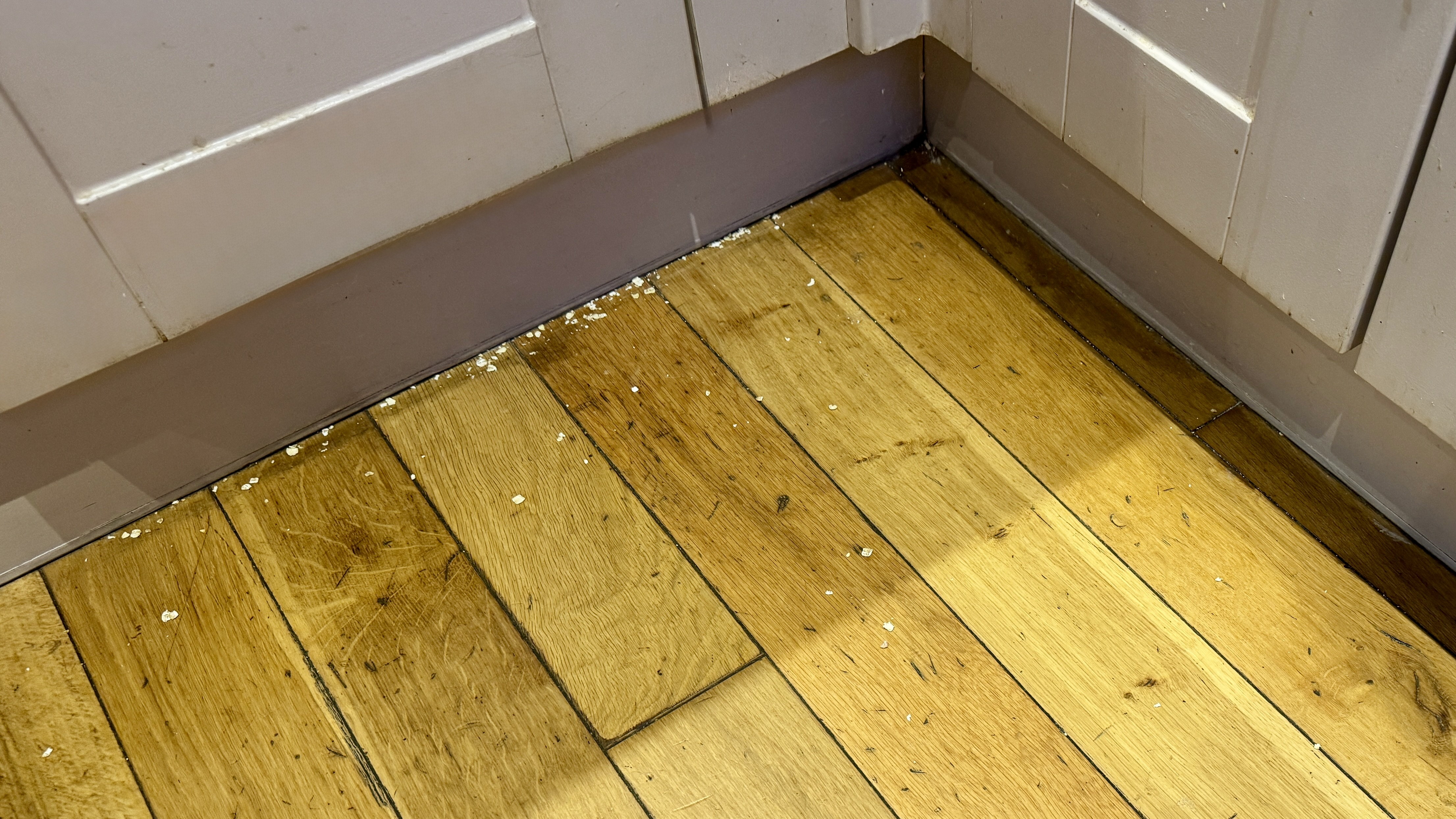 Remains of oats and crumbs in the corner of a room following the suction test on hard flooring