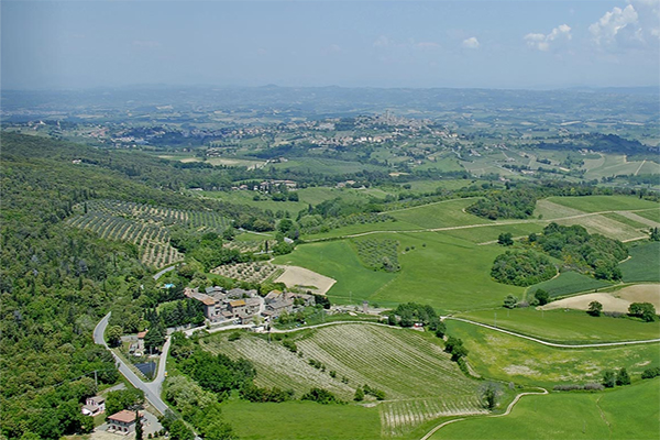 Fattoria-San-Donato.jpg