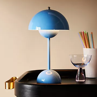 blue portable flowerpot lamp
