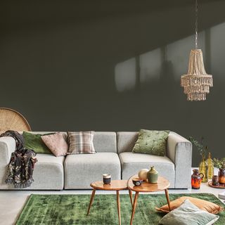 living area with grey wall and sofa and cushions and green rug