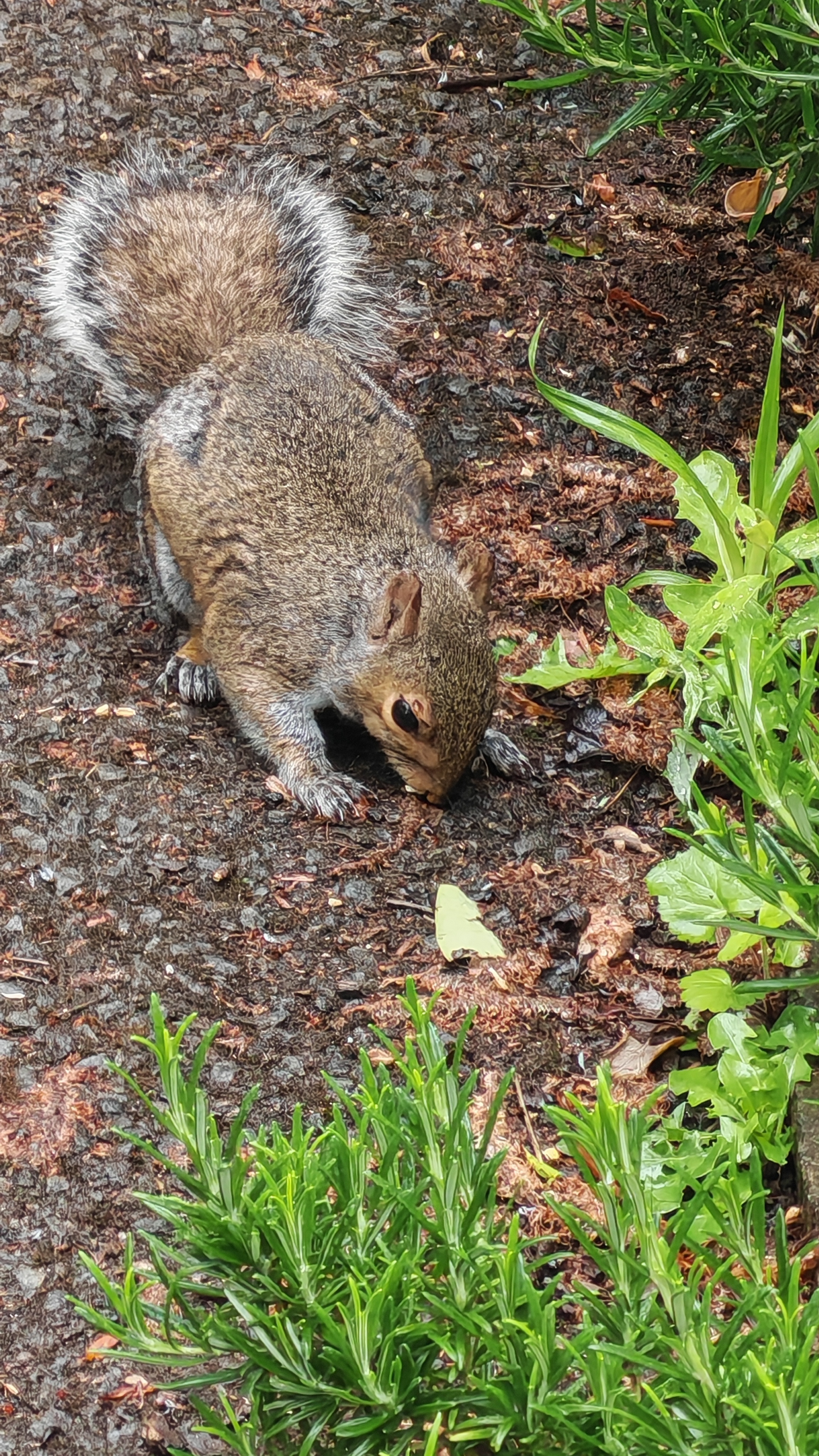The Honor 400 Pro sample images