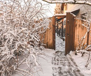 snowy garden path