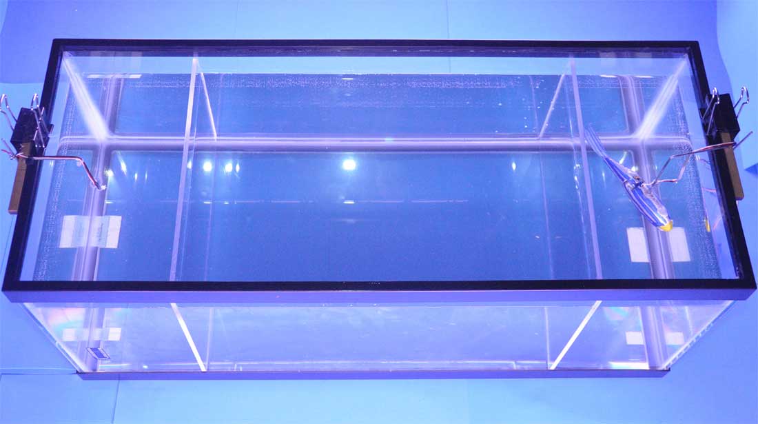 In an aquarium experiment, researchers found when the robot beat its tail faster as zebrafish approached and slower as they moved away, the real fish preferred spending more time near it.