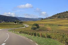 Vineyards outside of Beaune, Burgundy.