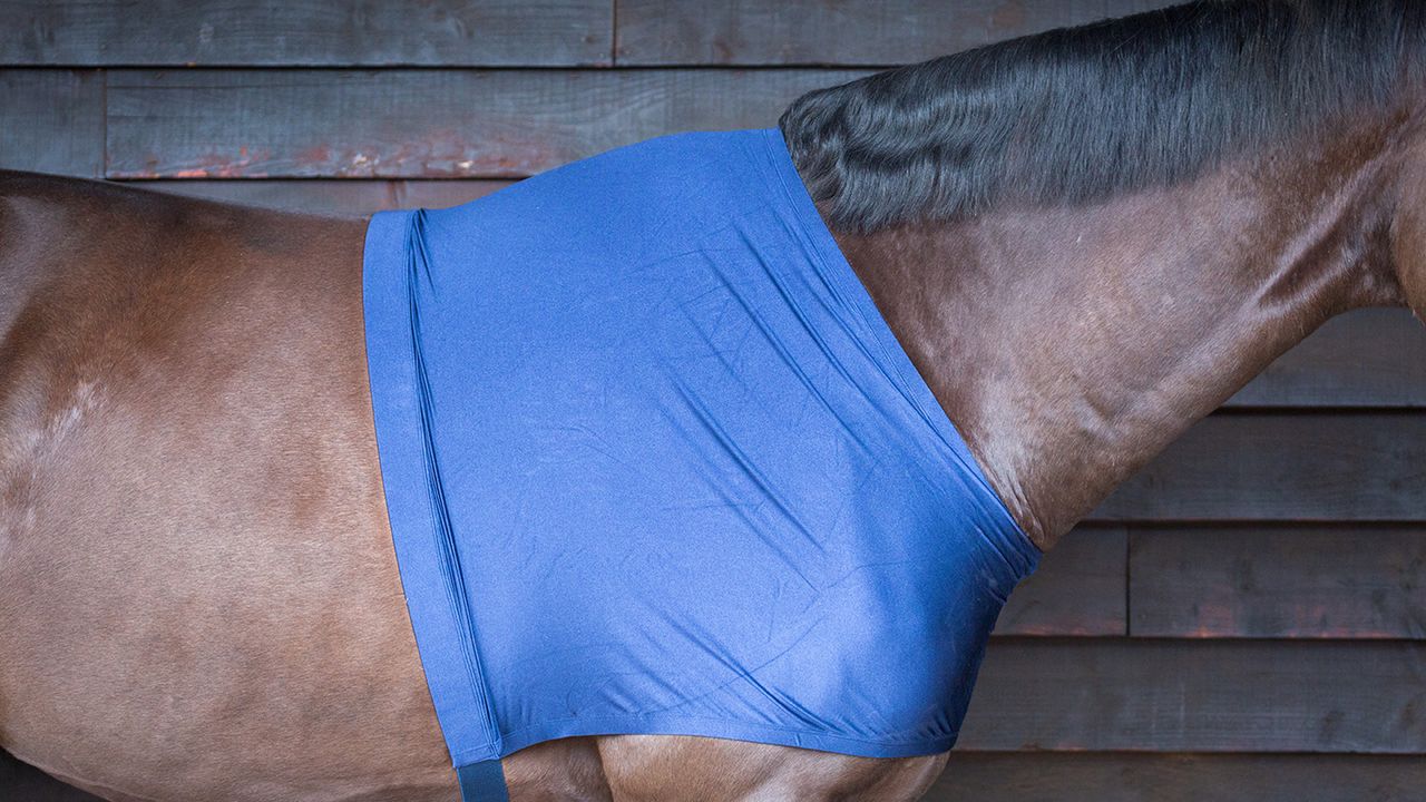 Weatherbeeta Stretch shoulder guard review