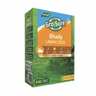 Lawn seed for shady gardens