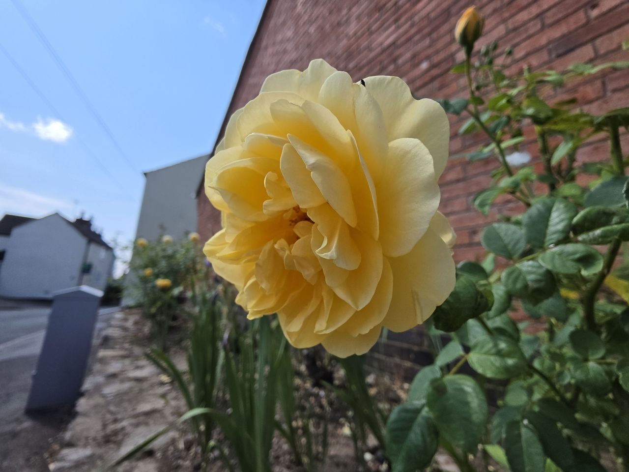 Samsung Galaxy Z Fold 8 sample photos