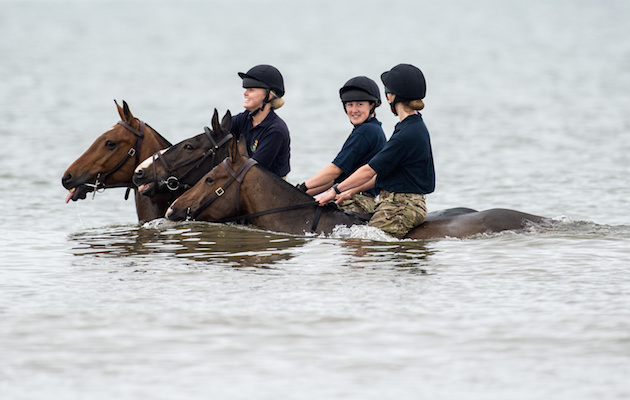 kings troop norfolk