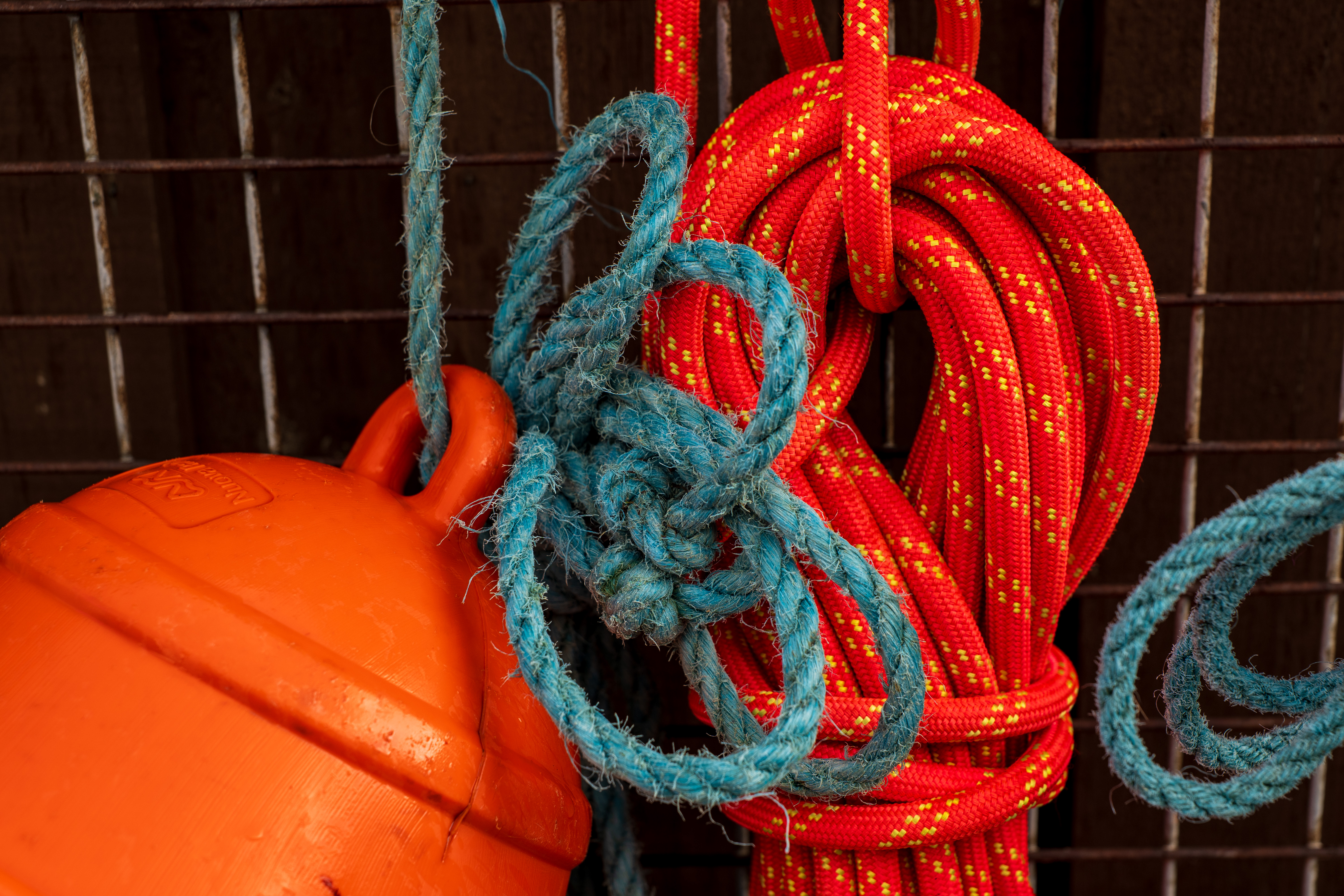 Panasonic Lumix S 24-60mm f/2.8 example shot