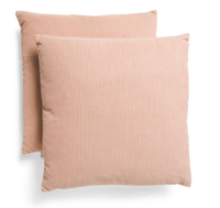 THRO 19x19 2pk Velvet Pillow Set for $24.99, at Marshalls