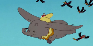 Dumbo flying