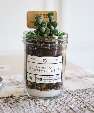 Coco & Seed Succulent Terrarium Mason Jar Garden Kit