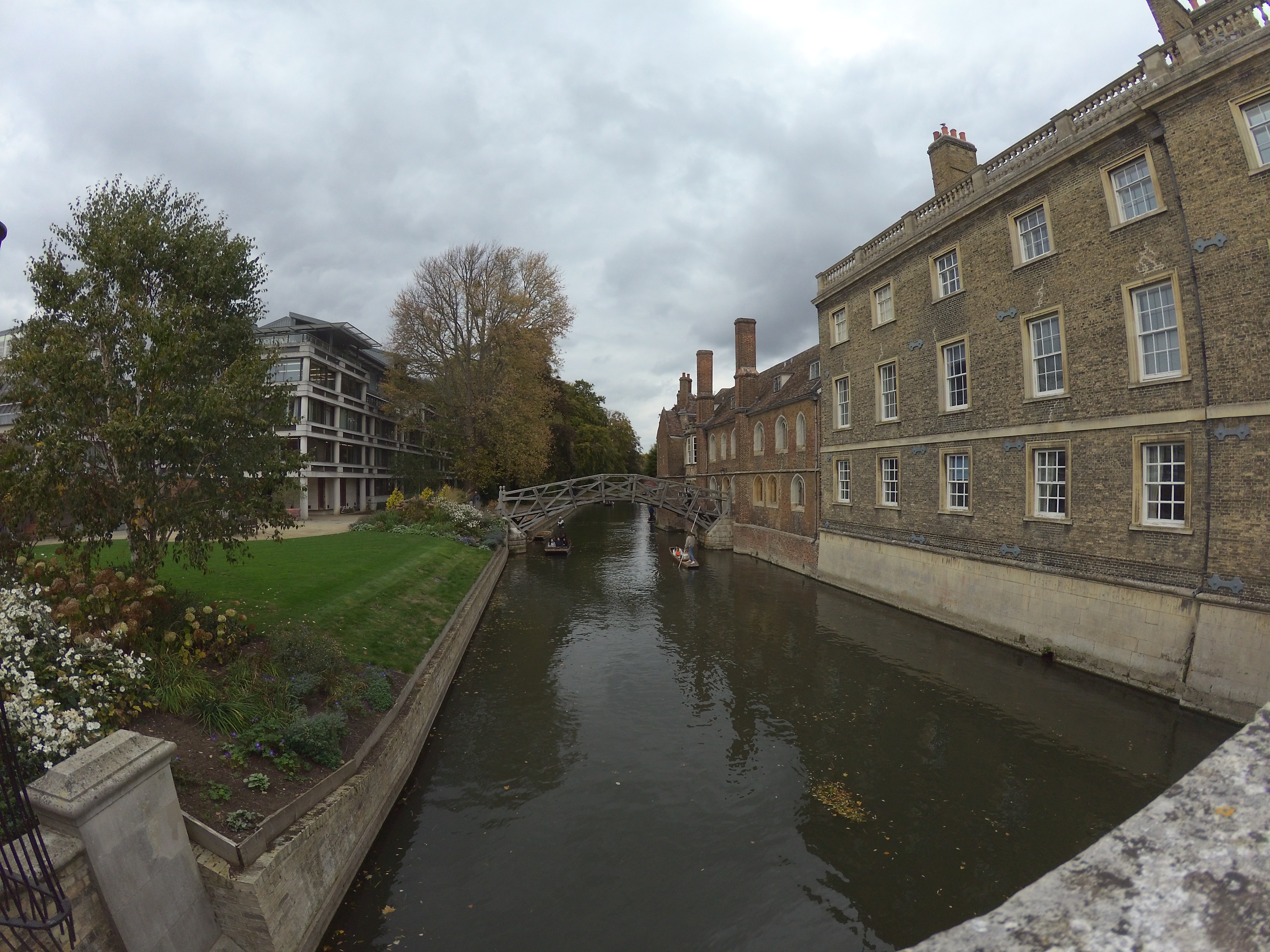 Enlaps Tikee Mini+ field of view example