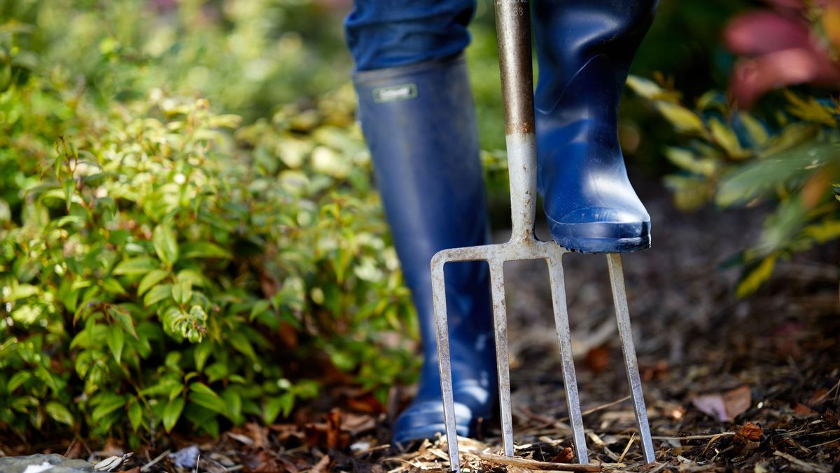 Soil: understanding pH and testing soil / RHS Gardening