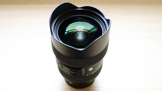 Typical of super-wide-angle lenses, this one has a bulbous front element that protrudes beyond the front end of the barrel. The petal shaped hood is therefore permanently fixed in place, offering physical protection