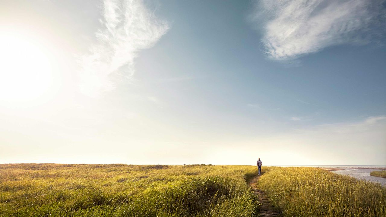 A figure is seen in the distance walking in a field toward the horizon.