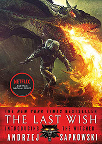 Witcher book series | Amazon US