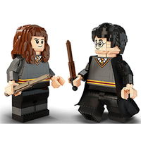 Harry Potter &amp; Hermione Granger: £1