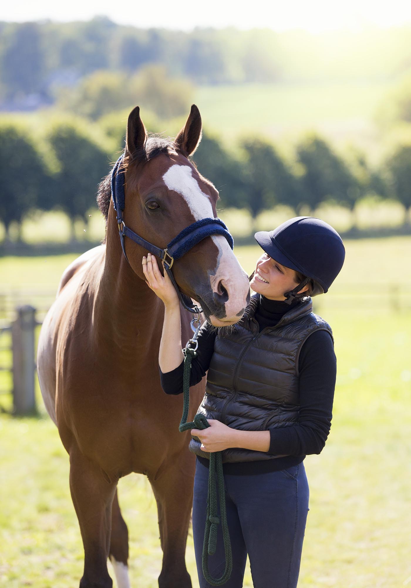 Aniwell-horse