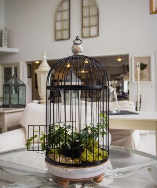 A black birdcage being used as a planter to house an assortment of houseplants