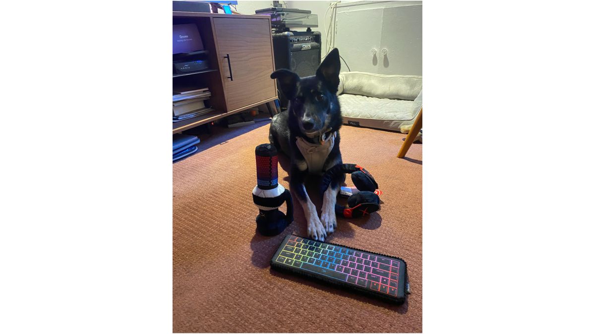 PC Gamer reader, Sydney the Dog.