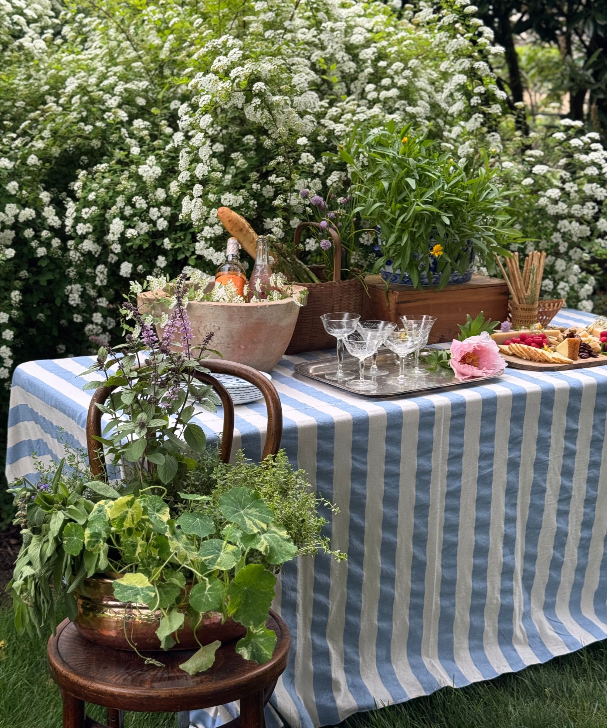 Outdoor table with blue and white striped tablecloth, terracotta ice bucket, trays and baskets with plant pots and flowers