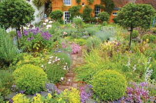 wild cottage-garden style garden
