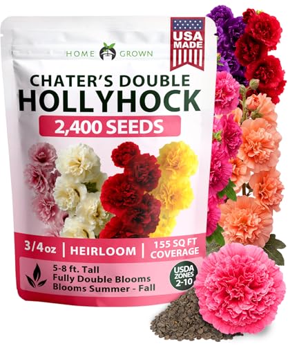 Home Grown Hollyhock Chaters Double Mix 2400 Seeds &amp;ndash; Holly Hocks Seeds for Planting Spring 2026, Double Flower Hollyhock Seeds, Flower Seeds Perennial Outdoor Garden (alcea Rosea)
