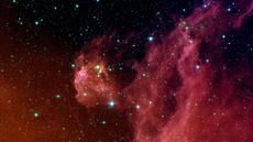 Young stars blaze to life in the Orion Nebula. New research suggests that still-forming stars like these may become &lsquo;infected&rsquo; with ancient black holes, leading to their destruction.