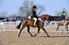 Winter-Champs-17.045.2140252.jpg