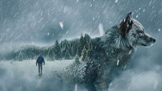 A stylized picture of a wolf, merged with a a man walking into a snowy wilderness to explain how to watch "Alone" season 11 online