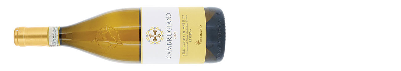 Cantine Belisario, Cambrugiano DWWA 2025