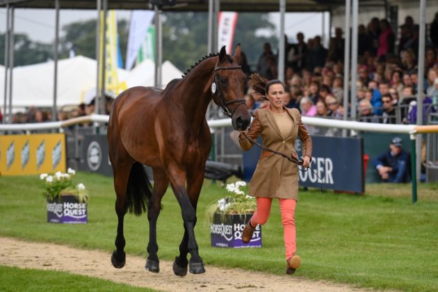Chequers-Playboy_Burghley_PN17_88024-e1504434186990.jpg