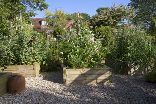 Potager planted with fruit and veg in a raised garden bed in the summer garden