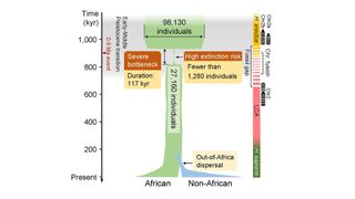 The ancient human population bottleneck and the Out-of-Africa dispersal.