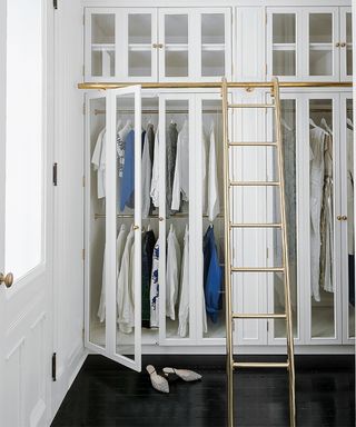 Walk-in wardrobe with glass doors and ladder