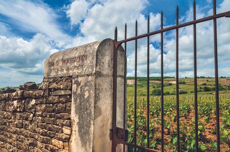 Gated entrance to a vineyard