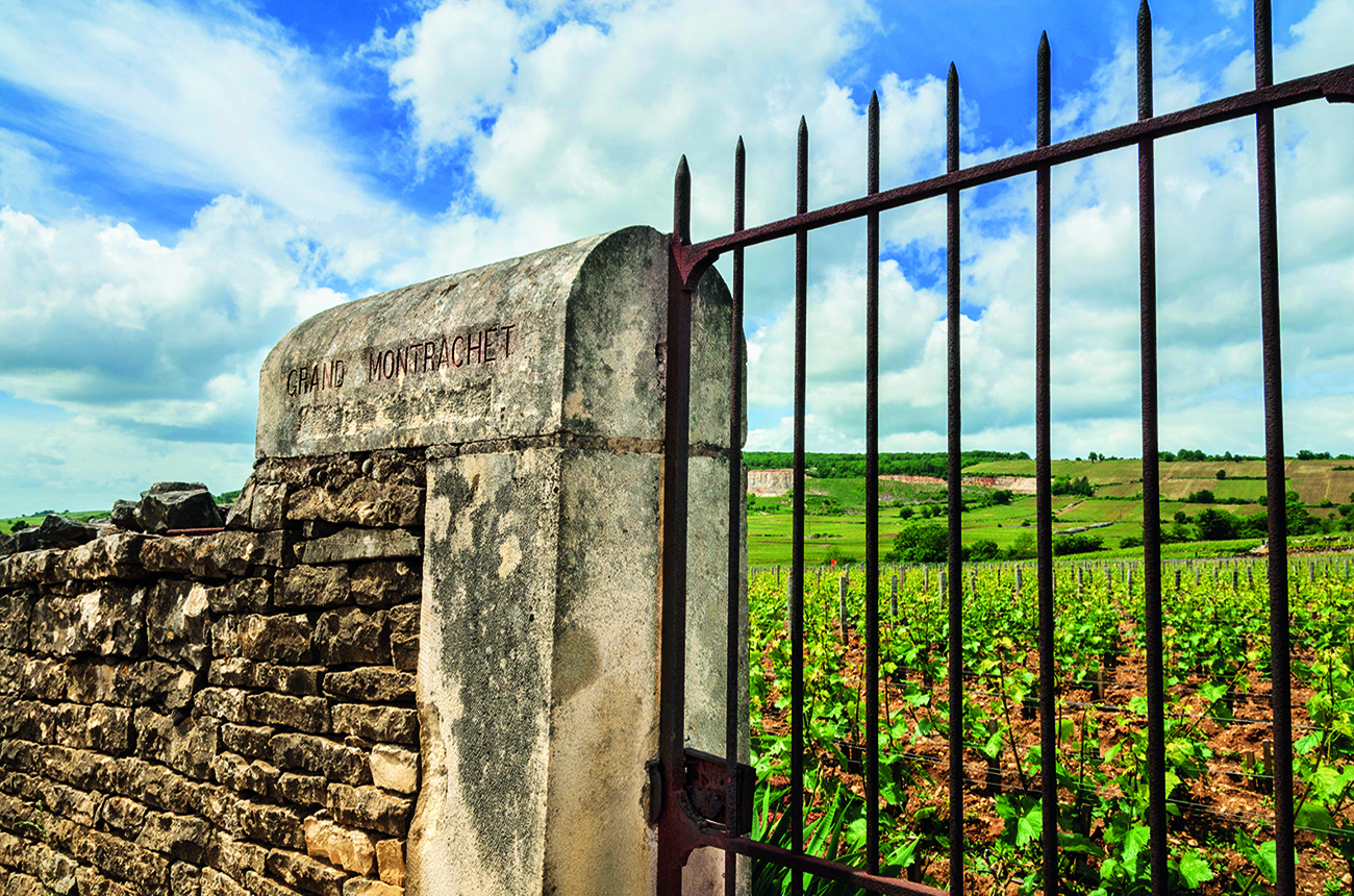 Gated entrance to a vineyard