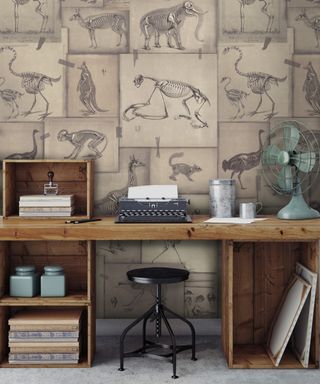 Zooarchaeology Wallpaper in Home Office by Mindthegap