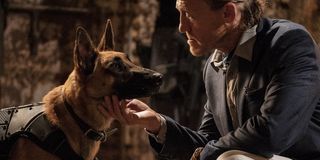 The dogs in John Wick are about to bite your crotch