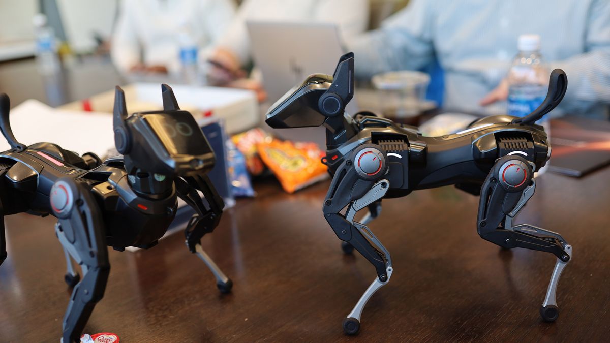 Hengbot Sirius robot Dog