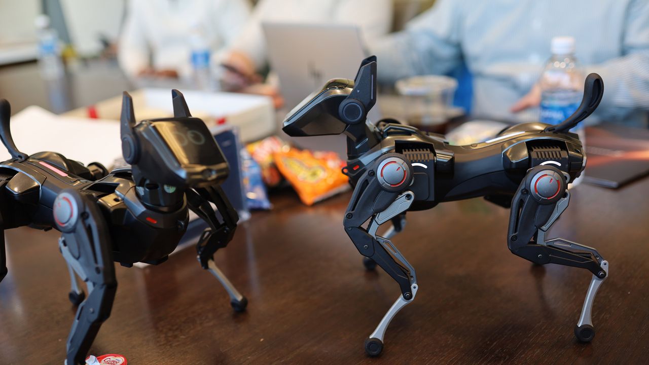 Hengbot Sirius robot Dog