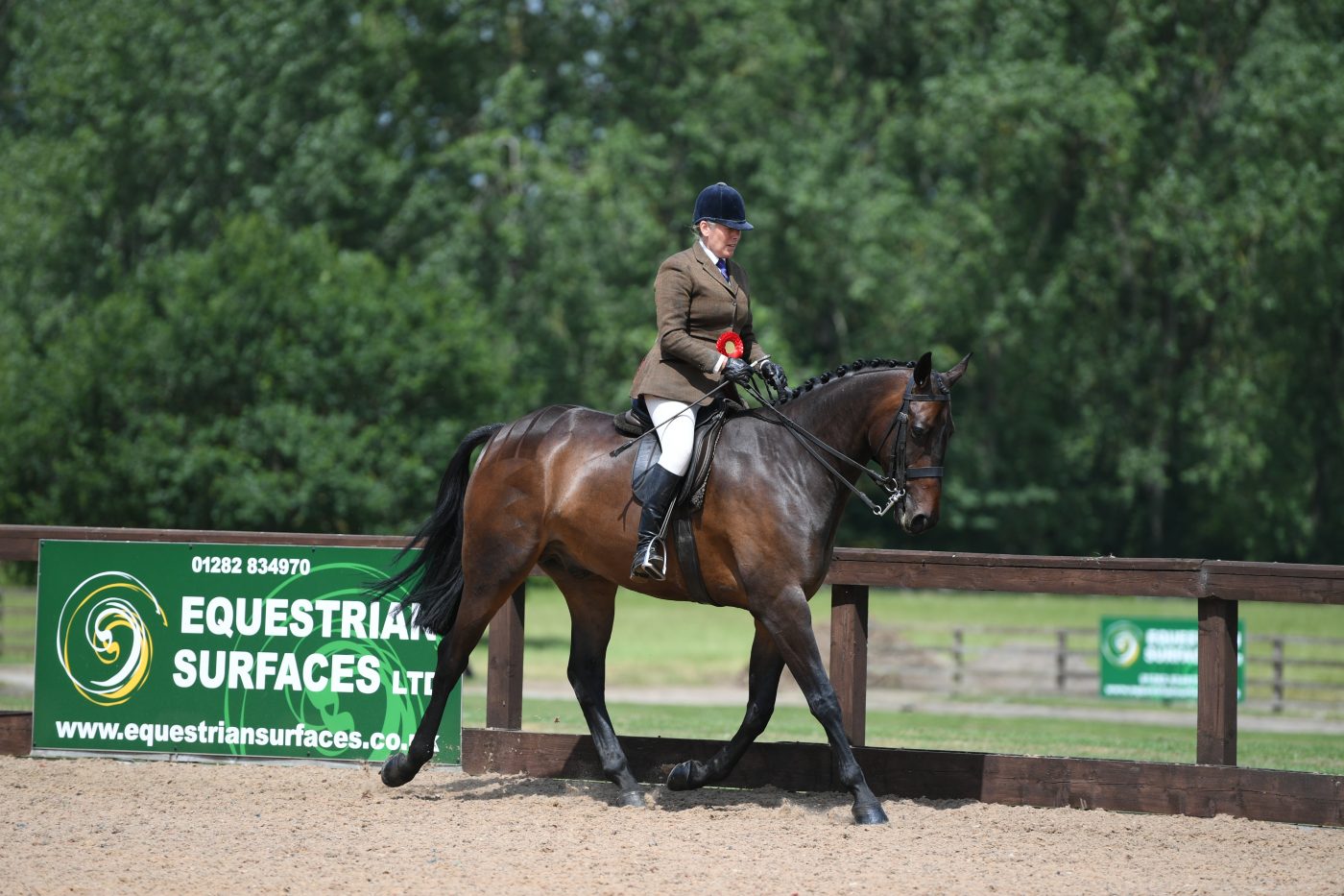 Novice_HunterShow_PN19_35591-e1562595423805.jpg
