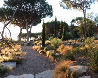 A dry gravel garden created in portugal in the Algarve region