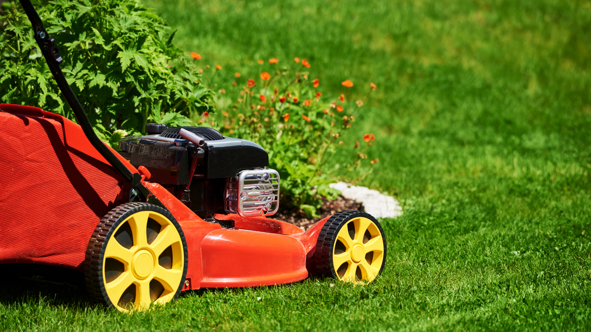 lawn mower next to garden bed 